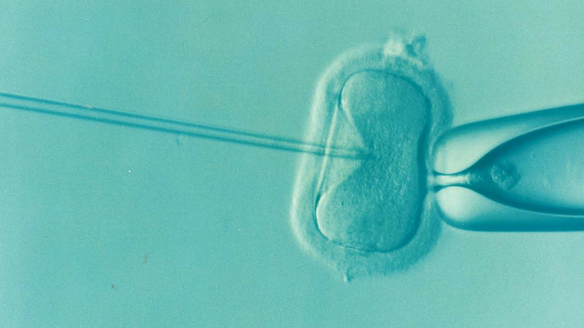 ivf neplodnosť plodnosť